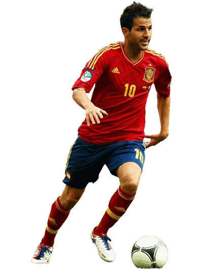 CESC FÀBREGAS, Spain National Team